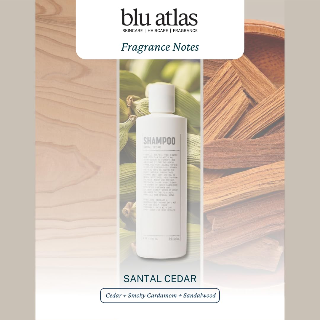 Blu Atlas Men's Natural Shampoo β Organic, Sulfate-Free, Paraben-Free β Deep Cleansing & Hydrating β Santal Cedar Scent β Made in America β 8 oz
