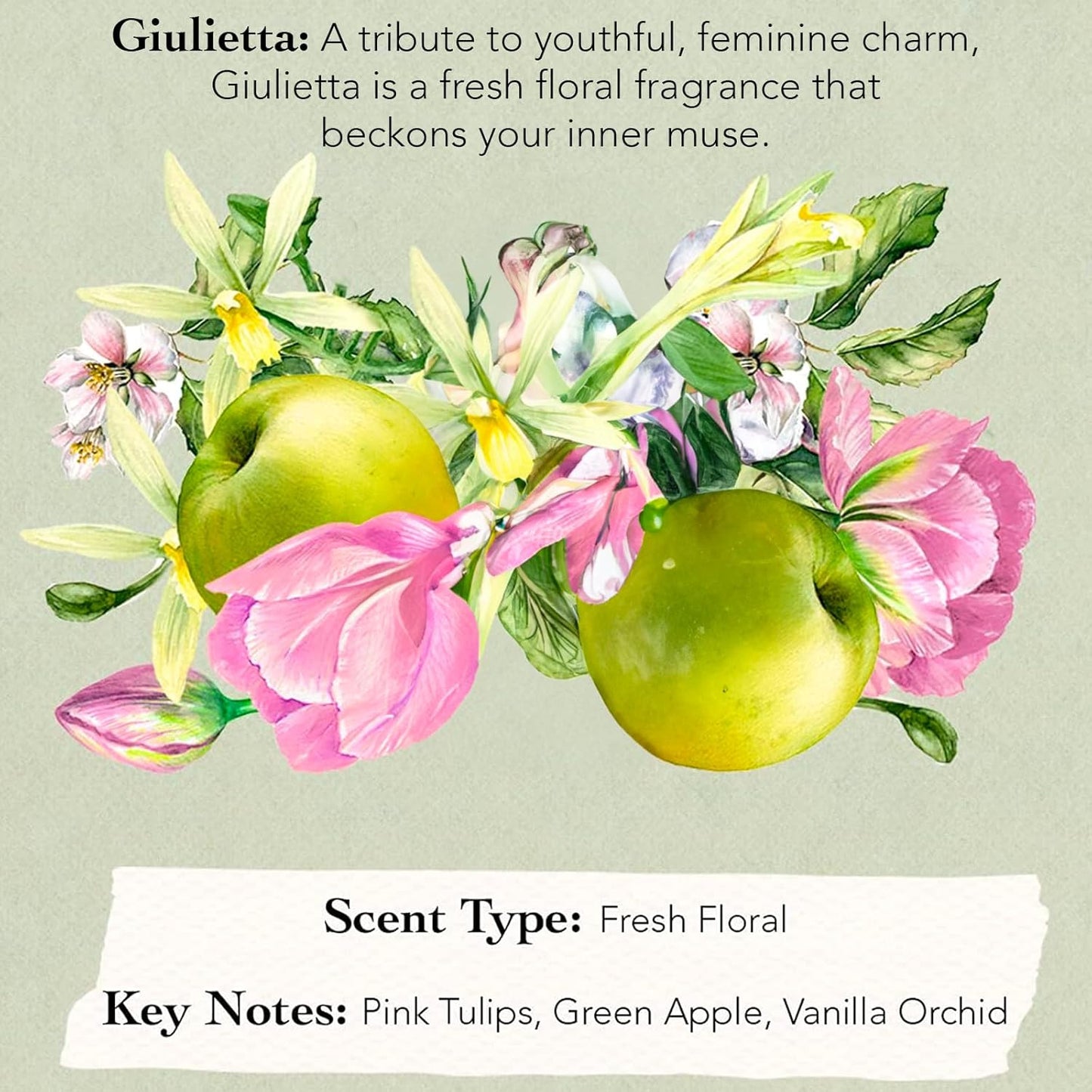 Tocca Women's Perfume Mini Discovery Sampler Set of 8, 1.5ml Each - Includes Cleopatra, Stella, Florence, Giulietta, Colette, Simone, Belle & Lucia