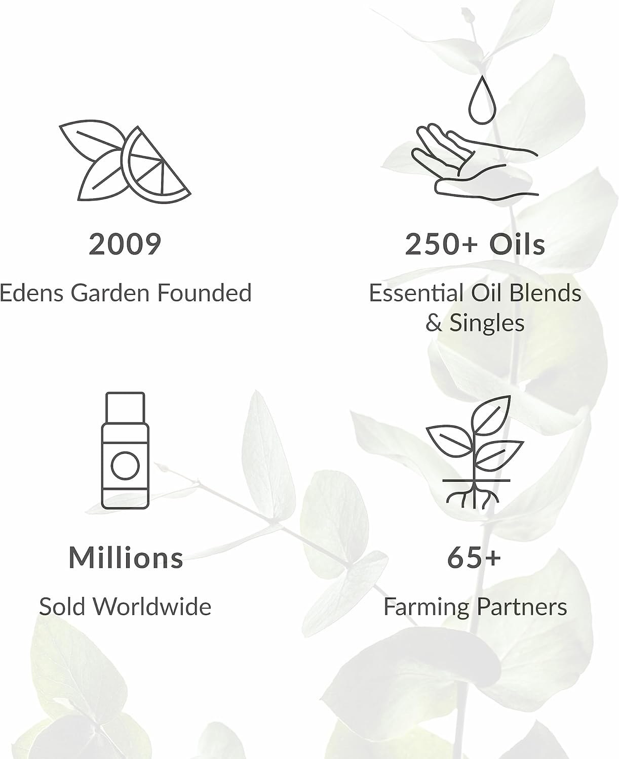 Edens Garden Tranquility Essential Oil Roll-On Blend- 100% Pure Premium Grade, Natural, Therapeutic, Aromatherapy, Kid & Skin Safe, The Best for Gifts, Relaxation Pre-Diluted 10 ml (.33 fl oz)