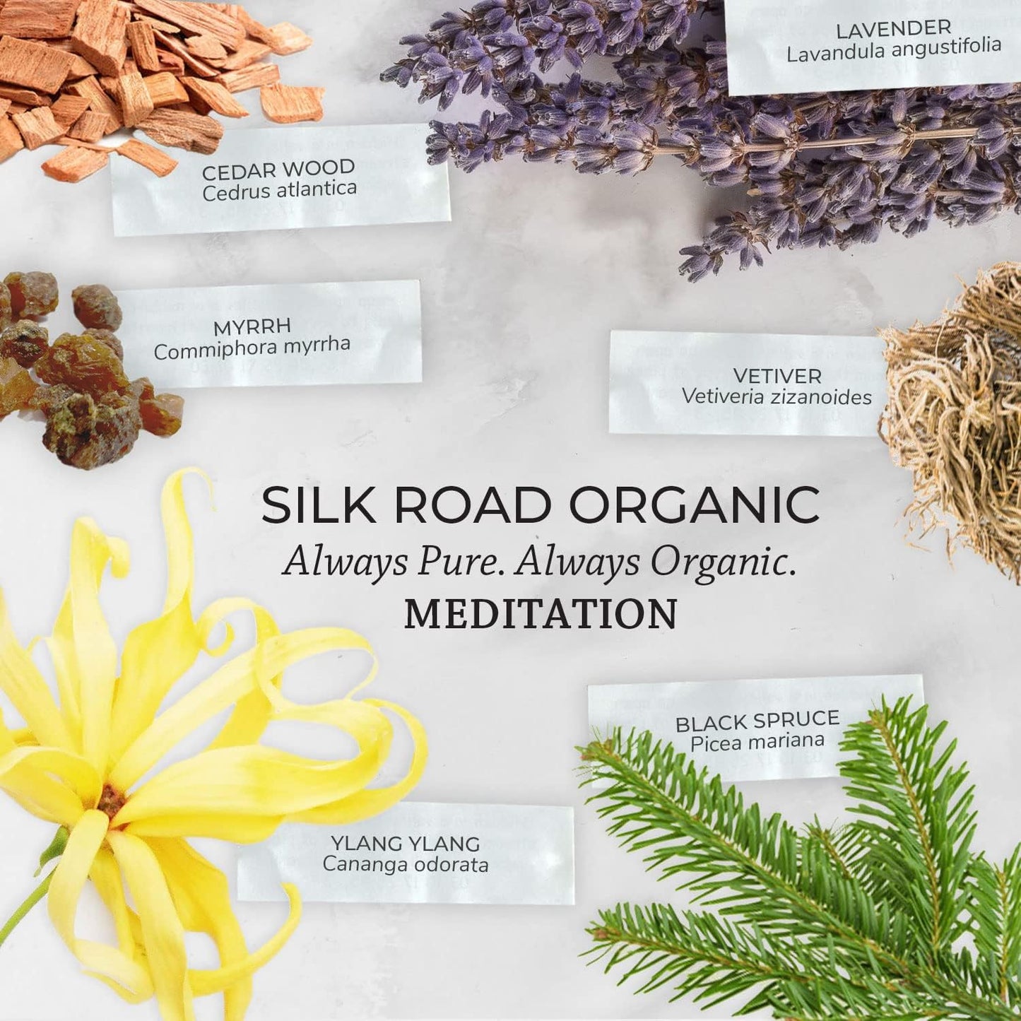Silk Road Organic Meditation Essential Oil Empowering Blend Roll On,100% Pure USDA Certified Aromatherapy for Chakra Healing, Focus, Calming, Mindfulness & Spiritual Well-Being - 10ml Roller
