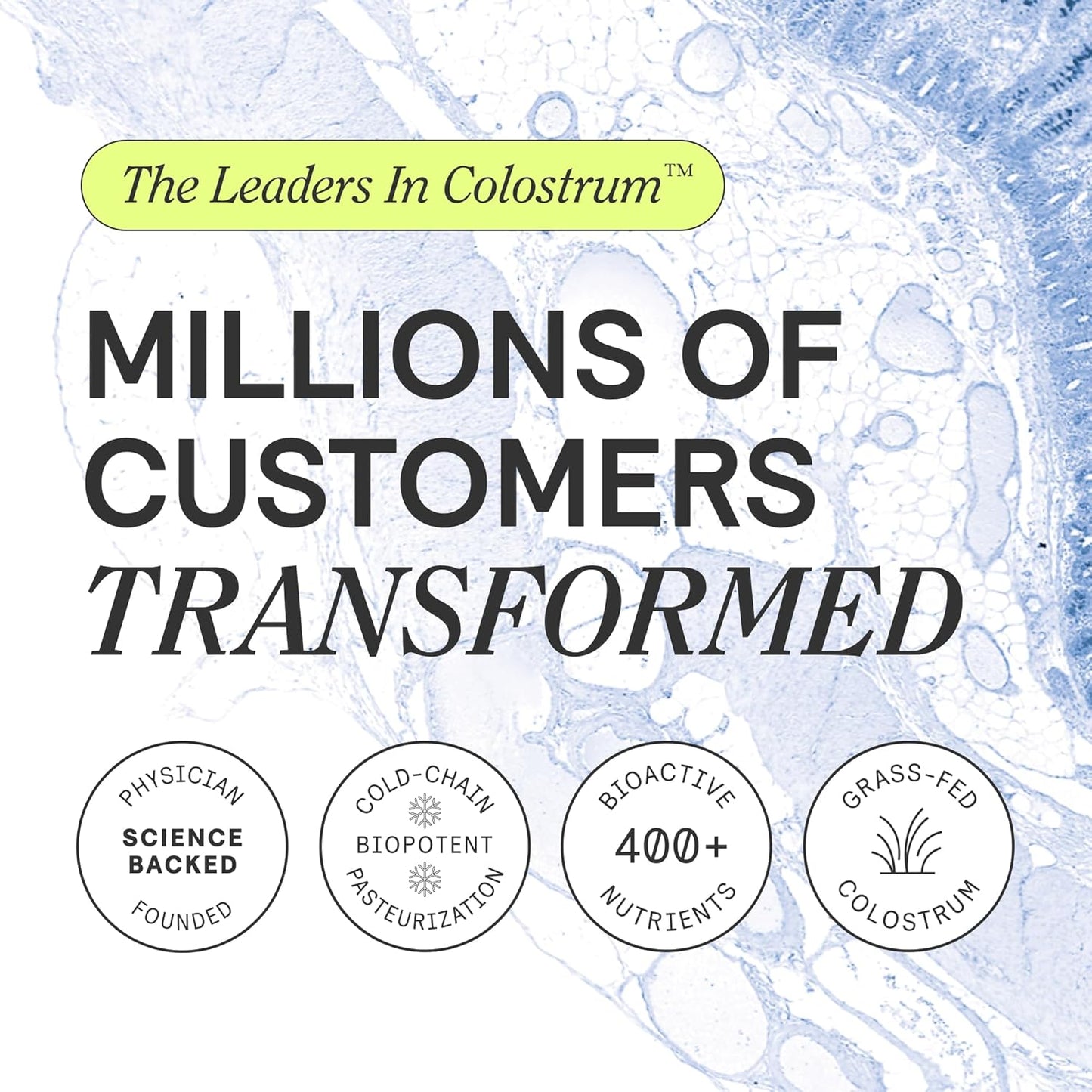 ARMRA Colostrum™ Powder | Vine Watermelon | Gut Health & Bloating | Skin & Hair | Immunity | Keto, Gluten & Fat-Free | 30 Servings