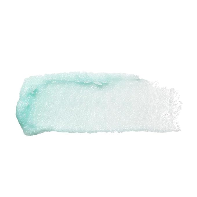 e.l.f. Lip Exfoliator, Mint Maniac, 0.11 oz. (82512), 2 Pack