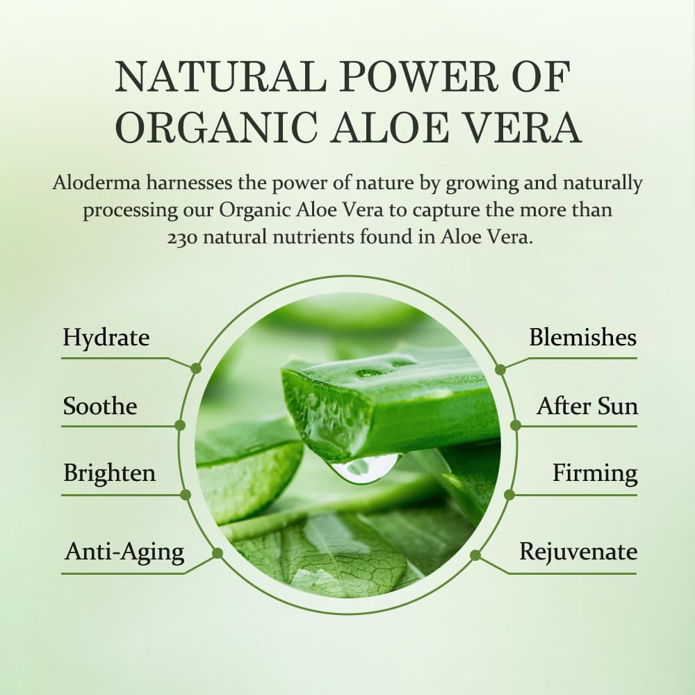 Aloderma Aloe Botanical Hydrating Mist Made with 82% Organic Aloe Vera - Soothing, Moisturizing Facial Spray with Panthenol - Refreshes, Invigorates Skin Throughout the Day, 120ml/4.23Oz (6)