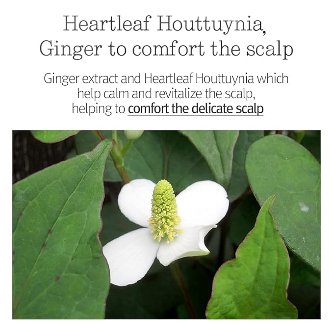 PYUNKANG YUL Hair&Body Travel Kit | Shampoo, Conditioner, Body Wash, Lotion, Spa Kit, 4 items | Low pH, Moisturizing, Soothing, Refreshing, Fragrance Free | Korean Skin Care | 3.38 Fl.Oz. x 4ea