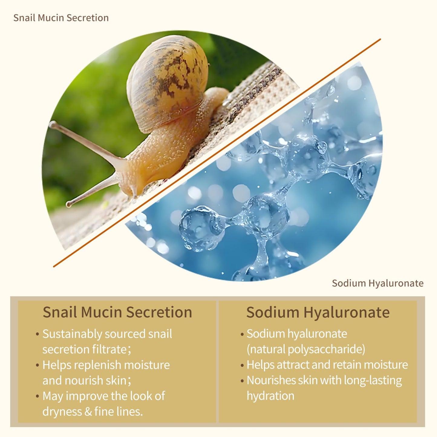 Snail Mucin Serum for Face with Collagen & Hyaluronic Acid,Smoothes Wrinkles,Improves Elasticity,Firms Skin 1 Oz Daily Use