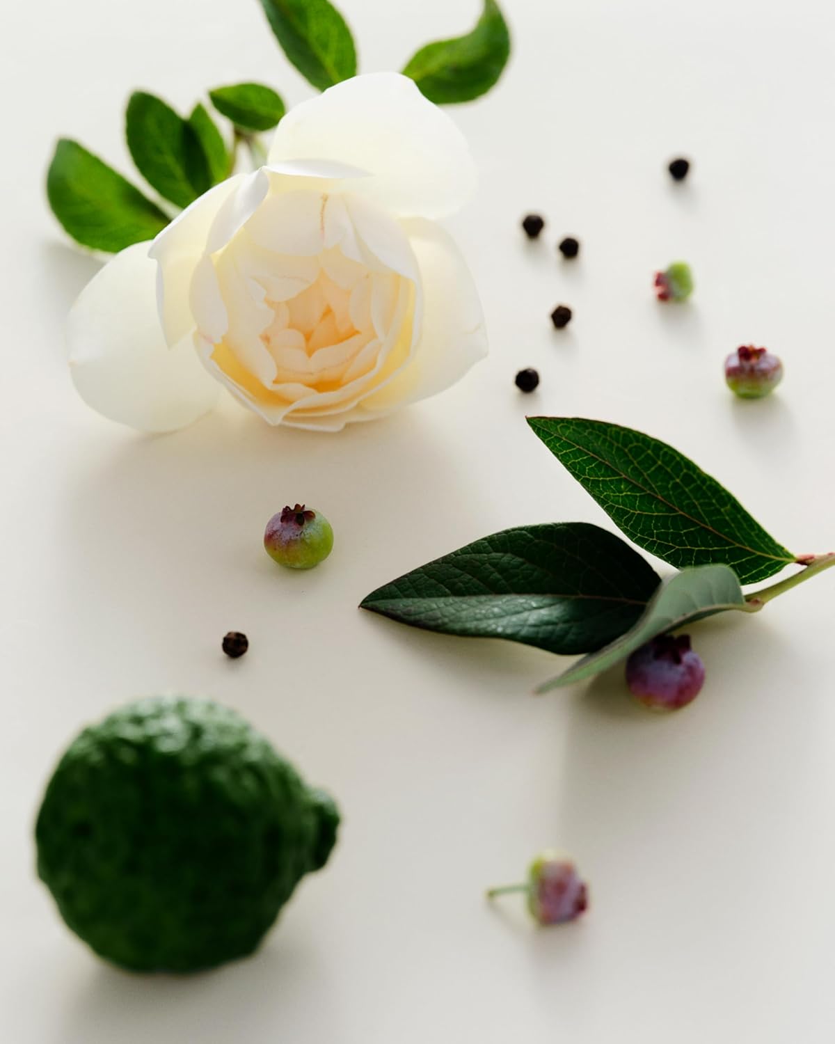 Maison Louis Marie - Antidris Cassis Natural Roll-On Perfume Oil Sample | Luxury Clean Beauty + Non-Toxic Fragrance (0.1 fl oz | 3 ml)