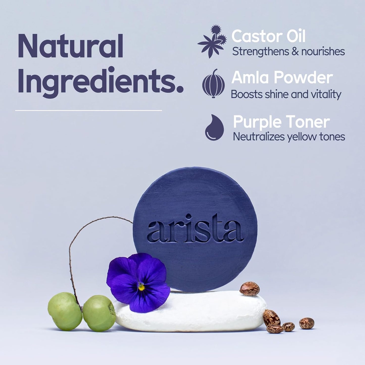 Arista Purple Shampoo Bar, Amla Fruit Powder, Purple Toner & Castor Oil, Moisturizing & Plastic Free Hair Soap, Sulfate Free Solid Shampoo Puck for Grey Hair