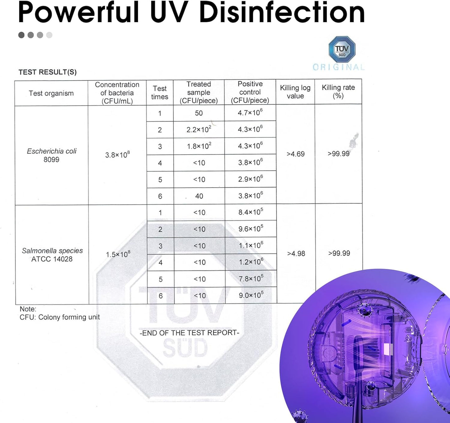 iHave Toothbrush Sanitizer – Wall-Mounted UV Toothbrush Holders for Bathrooms, Stylish Bathroom Accessories and Bathroom Decor for Home & RV, Travel Essentials, Cool Gadgets (Black)