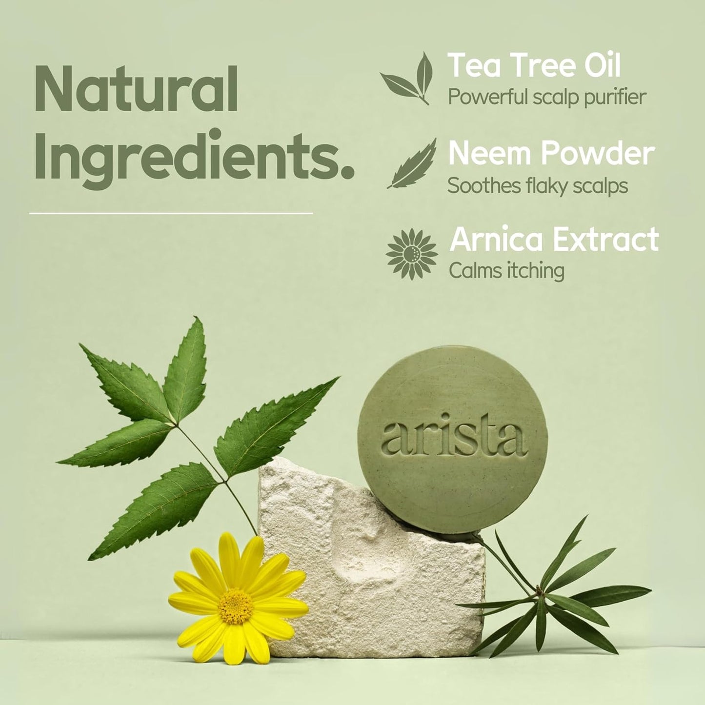 Arista Anti-Dandruff Shampoo Bar | Sulfate-Free, with Leaf Powder, Arnica & Tea Tree | Vegan Solid Shampoo Bar