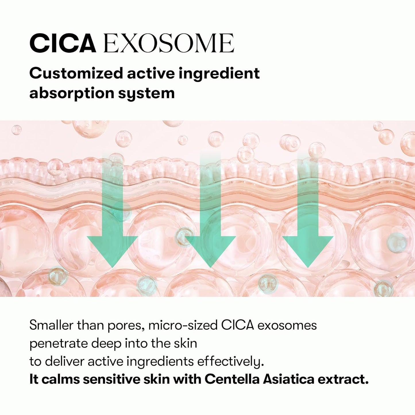 VT COSMETICS PDRN Cica Exosome Ampoule, Firming Serum with Peptide & Ceramide for Anti-Aging, Wrinkle Care, Plumping, Hydration & Radiant Glow, For All Skin Types, Korean Skincare (1.01 fl. oz.)