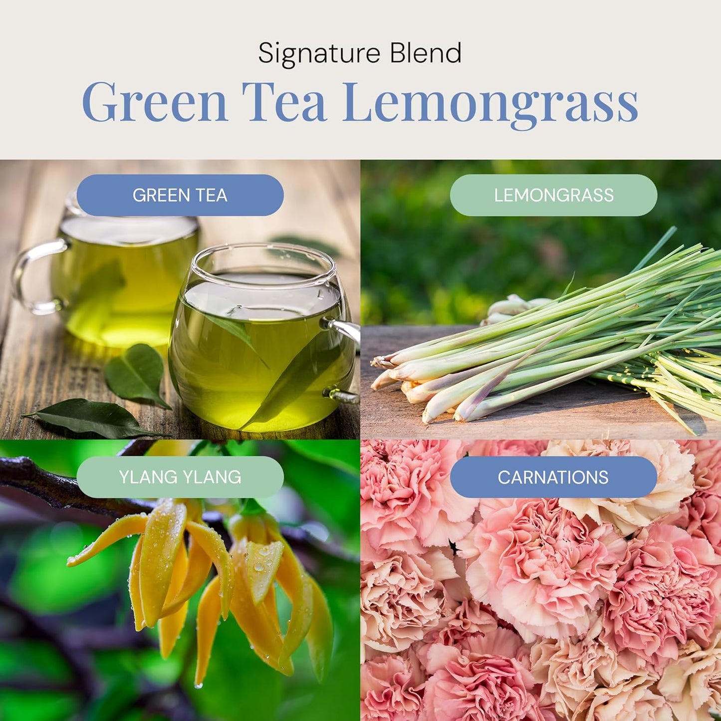 Green Tea & Lemongrass Aroma Oil, Essential Oils Blend for Diffusers & Scent Machines, Blend of Lemongrass & Leafy Greens, Aromatherapy, Cold Air Diffuser Compatible, 100 mL