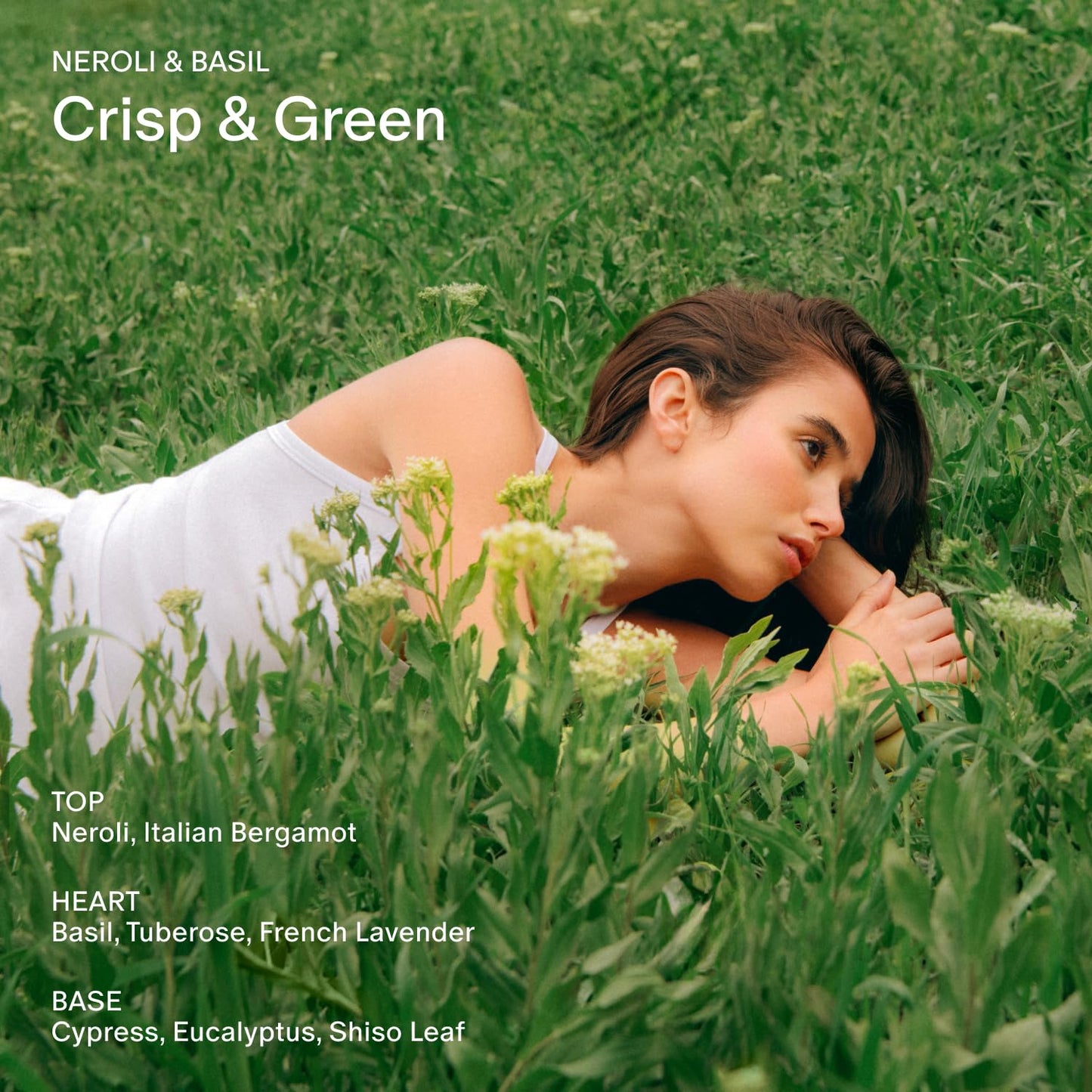 Salt & Stone Body Wash for Women & Men | Neroli & Basil | Hydrating Gel Cleanser | Clean & Soften Skin | Made with Niacinamide & Hyaluronic Acid | Free From Parabens, Sulfates & Pthalates (15.2 fl oz)