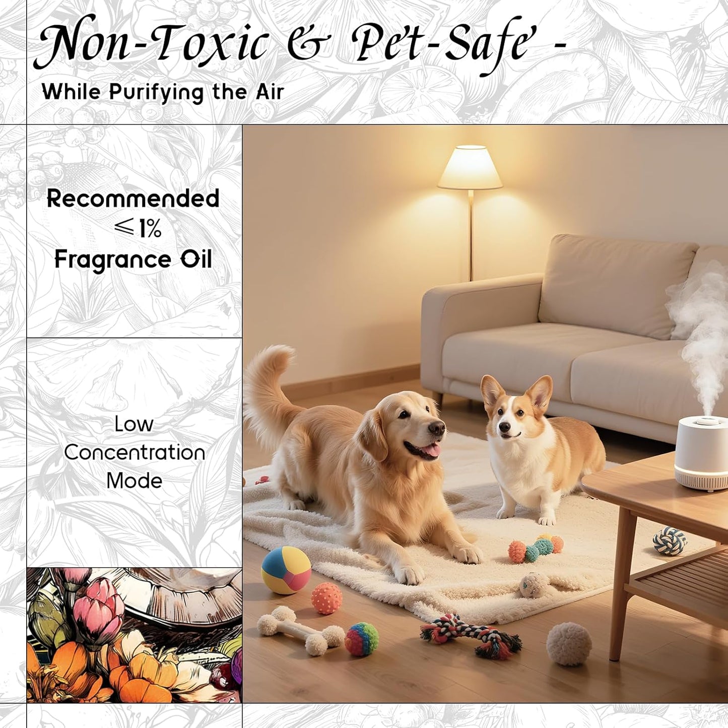 HIQILI Solar Berries Fragrance Oil - Perfect for Making Candles, Bath Bombs, Perfume, Reed Diffuser Oil Refill, Home & Office - 1 Fl Oz