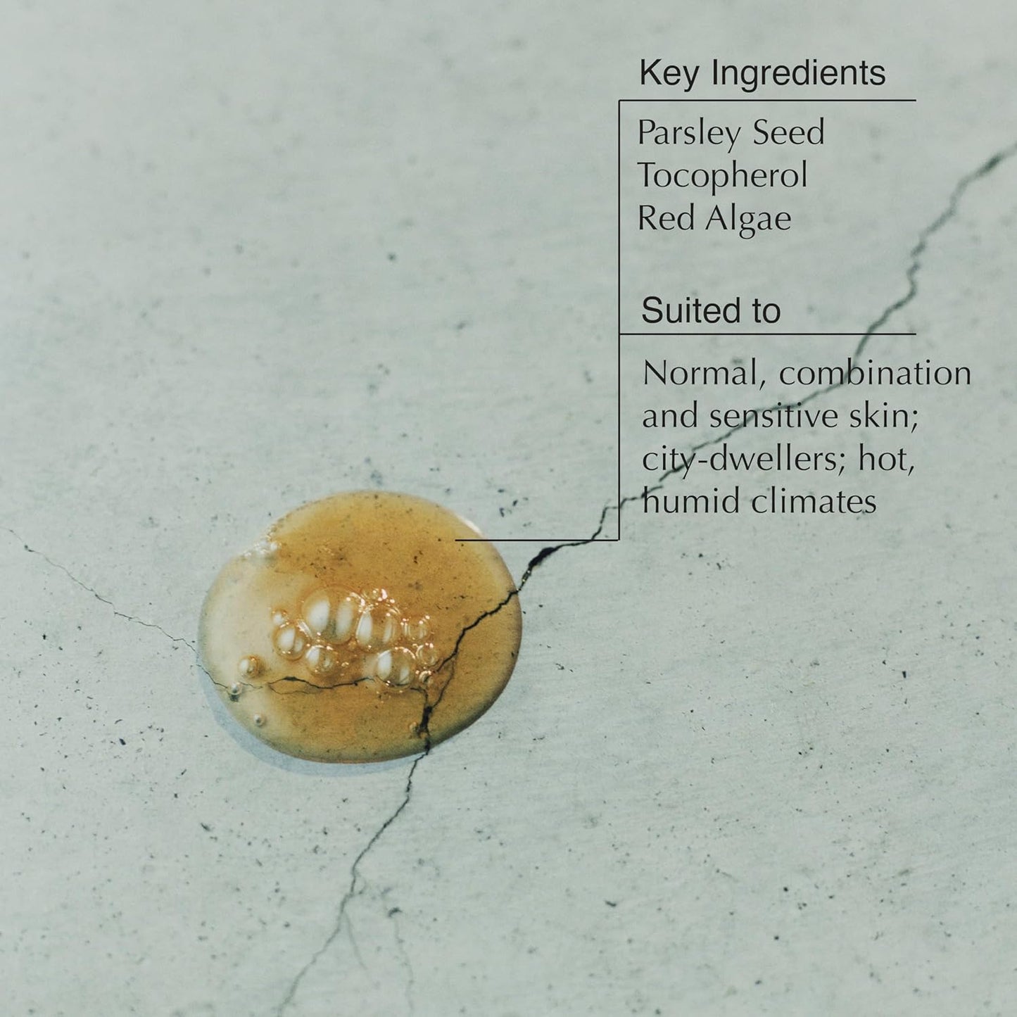 Aesop Parsley Seed Anti-Oxidant Intense Facial Serum with Vitamin E | Lightweight Daily Serum to Fortify and Protect the Skin | 2.0 oz