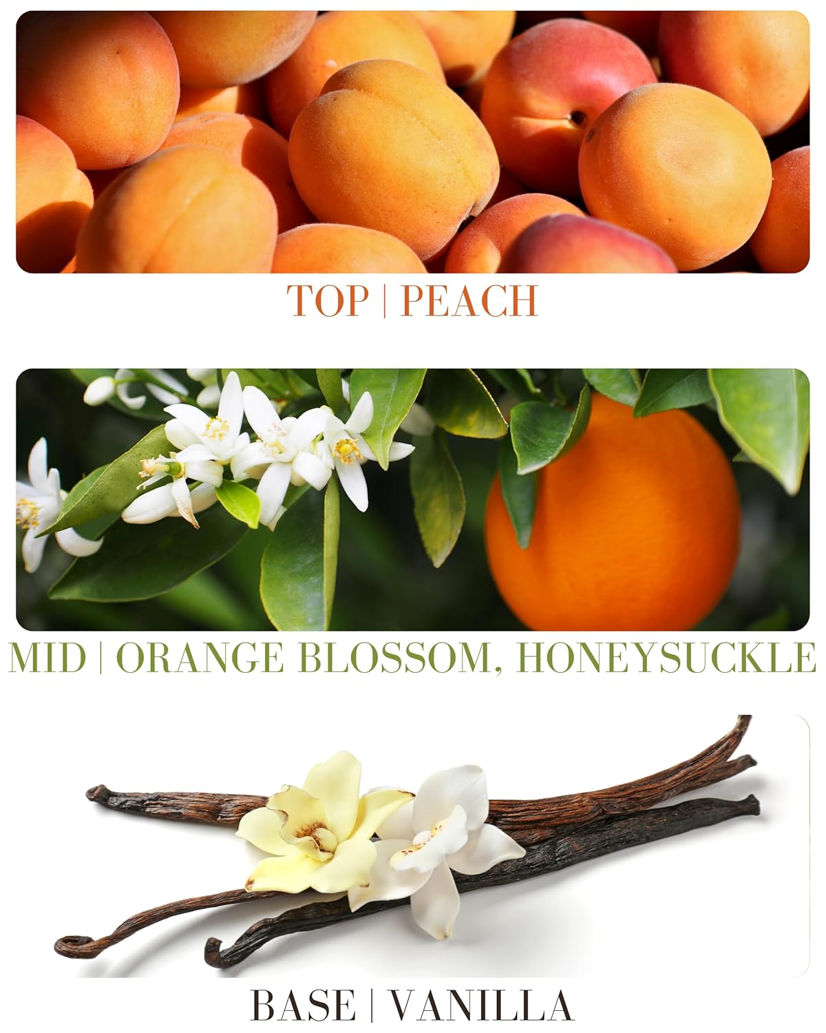 Juicy Georgia Peach Delicious Natural Essential and Fragrance Oil Roll On with Organic Jojoba Oil, Small Batch, Made in California