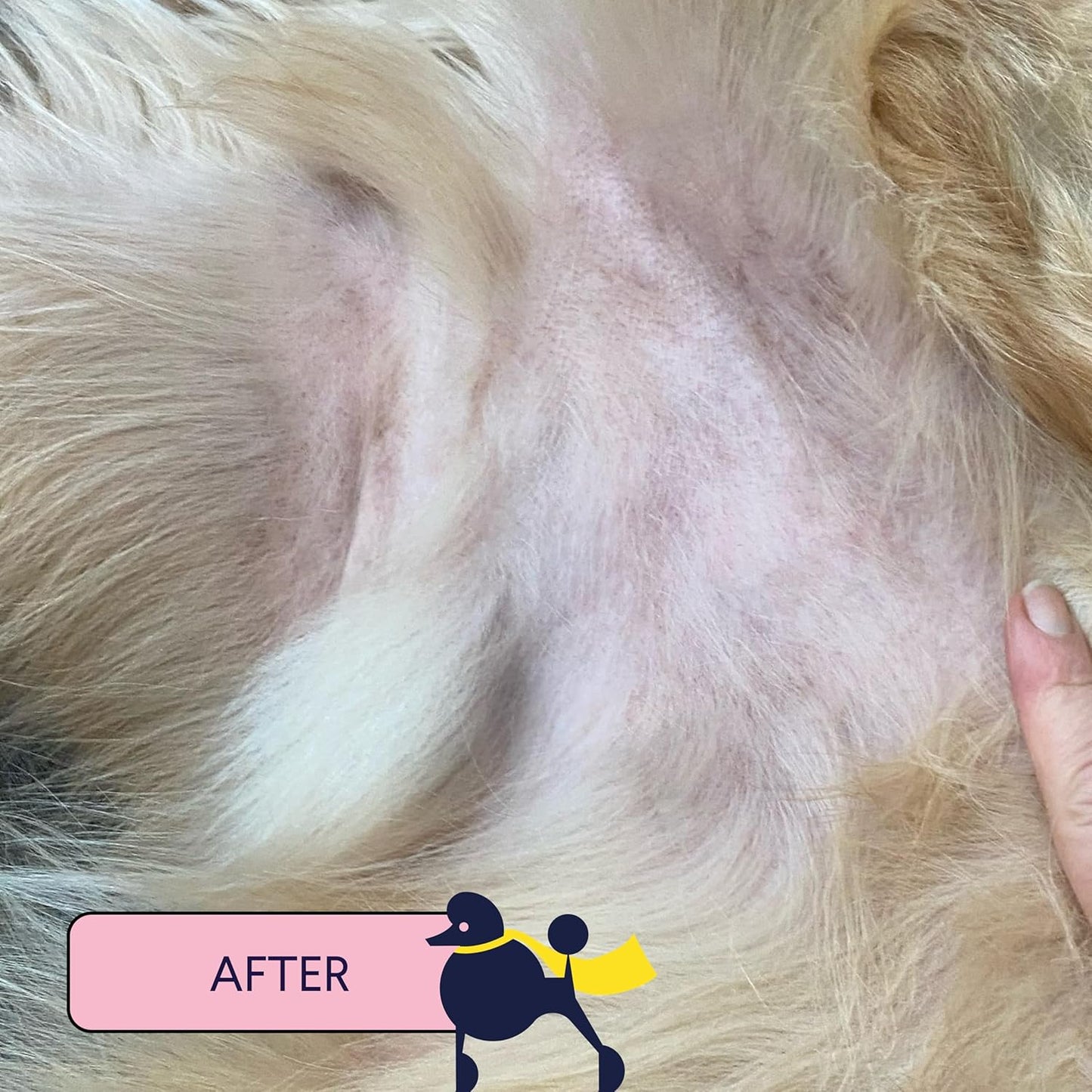 Finn Skin Hero | Revitalizing Natural Dog Skin Balm | Soothes, Strengthens & Protects from Hot Spots, Itching and Irritation - 1.75 oz