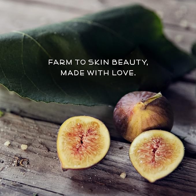 Farmstead Apothecary 100% Natural Lip Balm with Organic Beeswax, Organic Shea Butter & Organic Coconut Oil, Fig & Honey 0.25 oz