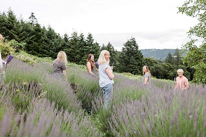 Victoria's Lavender Natural Body Products Gift Set - Handmade Soap, Hand & Body Lotion, Lip Balm, Body Candle Skin Care Sets & Kits, Lavender Bath and Body Products for Women, Lavender