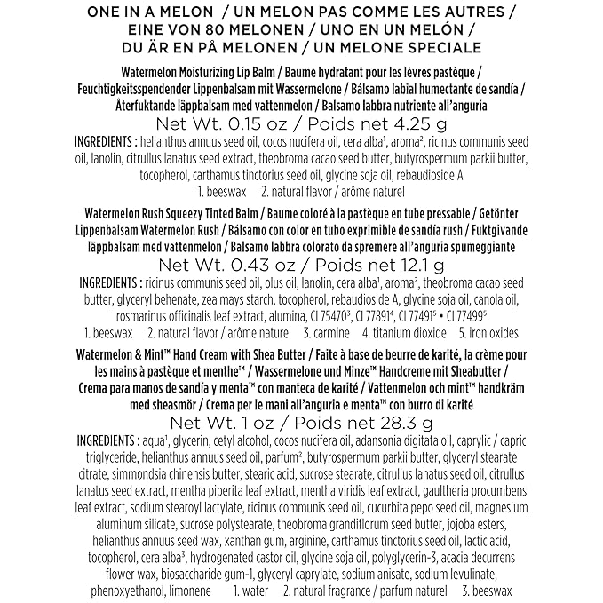 Burt's Bees Mothers Day Gifts for Mom, 3 Self Care Products, You're One in a Melon - Watermelon & Mint Hand Cream, Watermelon Lip Balm & Watermelon Rush Squeezy Tinted Lip Balm (Packaging May Vary)