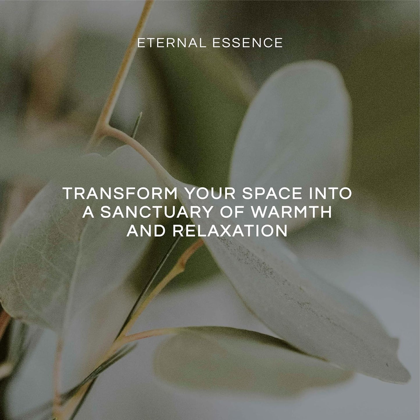 Eternal Essence Oils Tropical Fruit Set of 6 Premium Fragrance Oils - Includes Mango, Coconut Cream, Pineapple, Passion Fruit & Guava, Banana and Portuguese Pomelo Scented Oils - 10ML